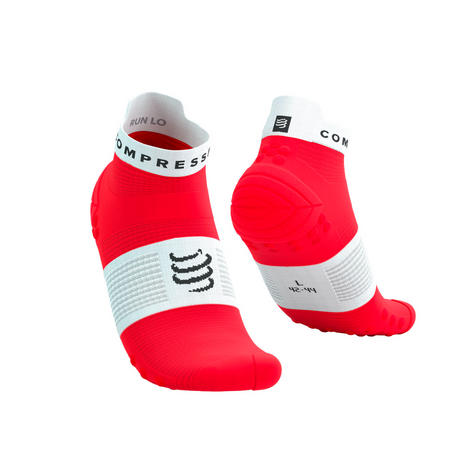 Compressport (C) - Compressport Unisex's Pro Racing Socks v4.0 Run Low - Cam2