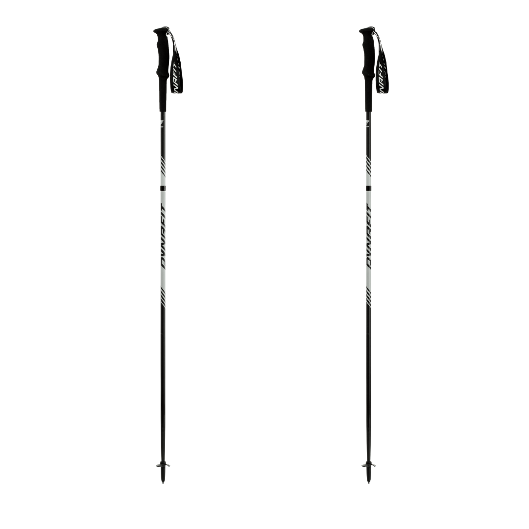 DYNAFIT (C) - DYNAFIT Alpine Pro Trail Running Pole - Cam2