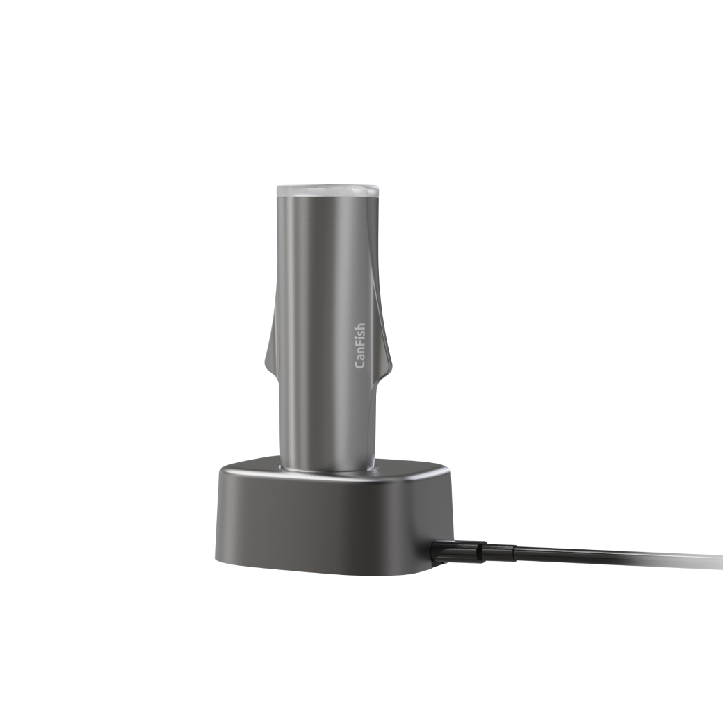 Chasing - Chasing CanFish Fishing CamX - Cam2