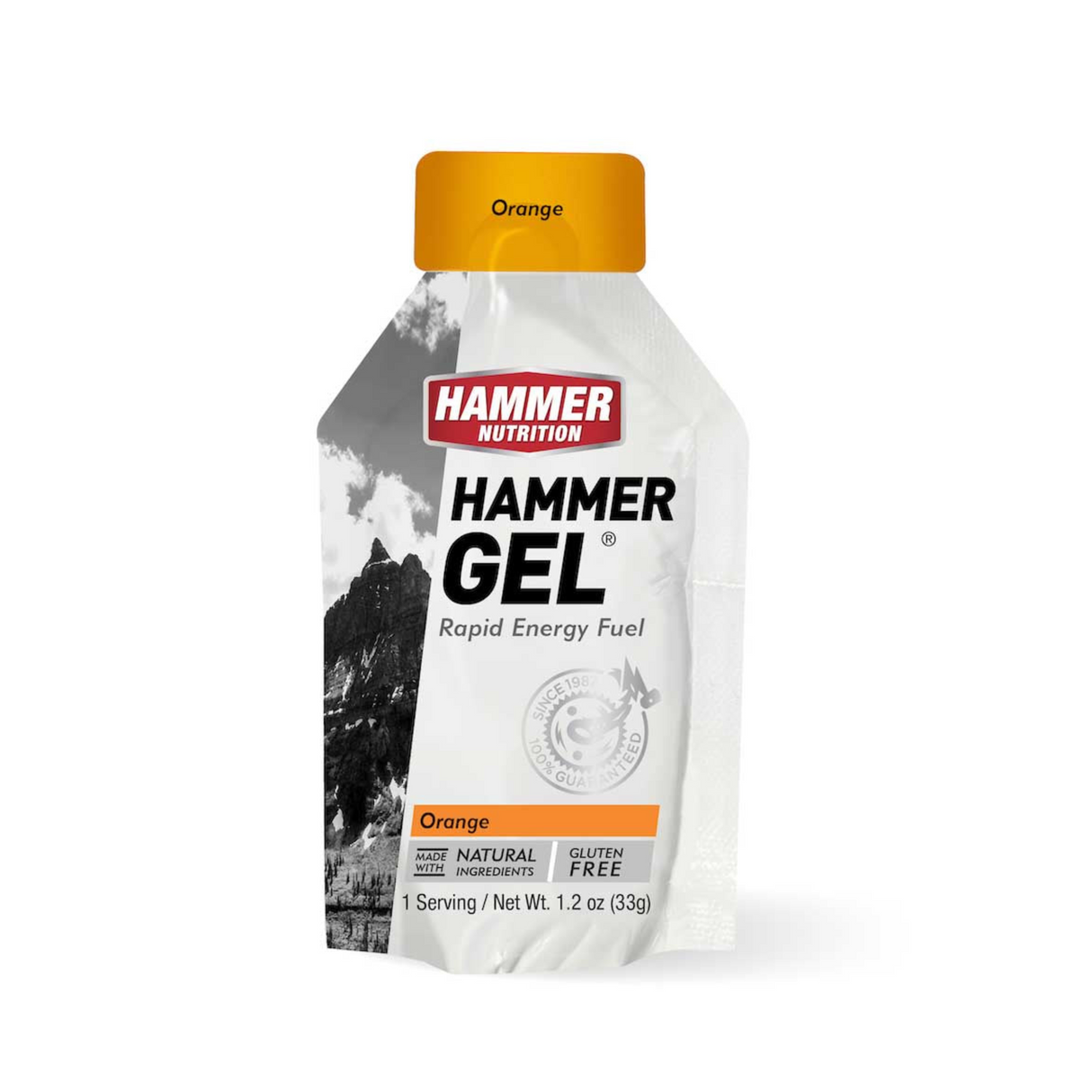 Hammer Nutrition - Hammer Nutrition Gel (Rapid Energy Fuel) - Cam2