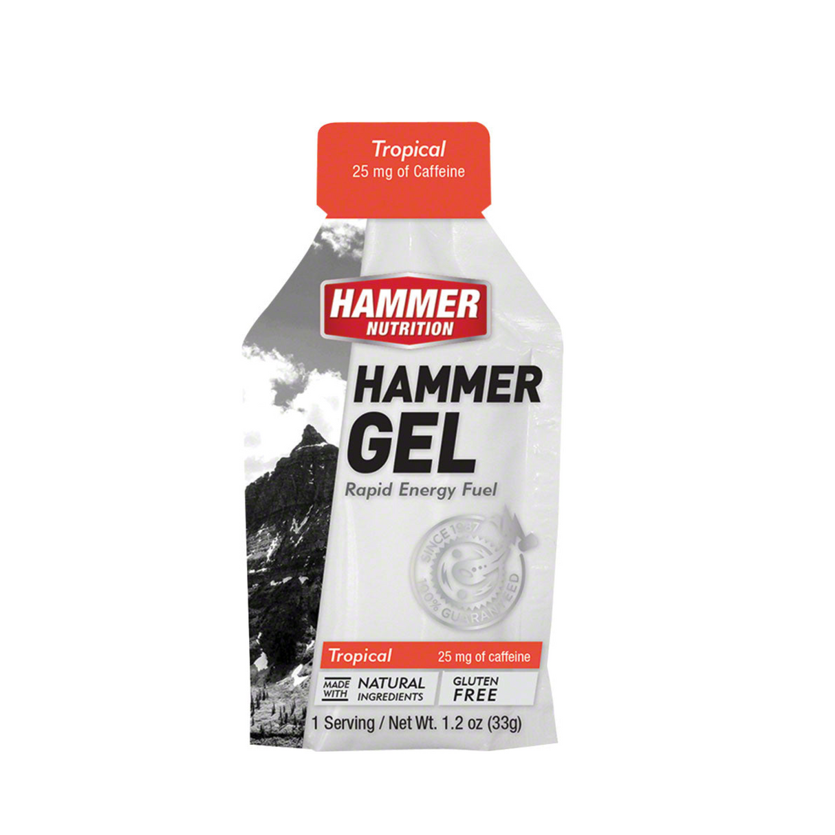 Hammer Nutrition - Hammer Nutrition Gel (Rapid Energy Fuel) - Cam2