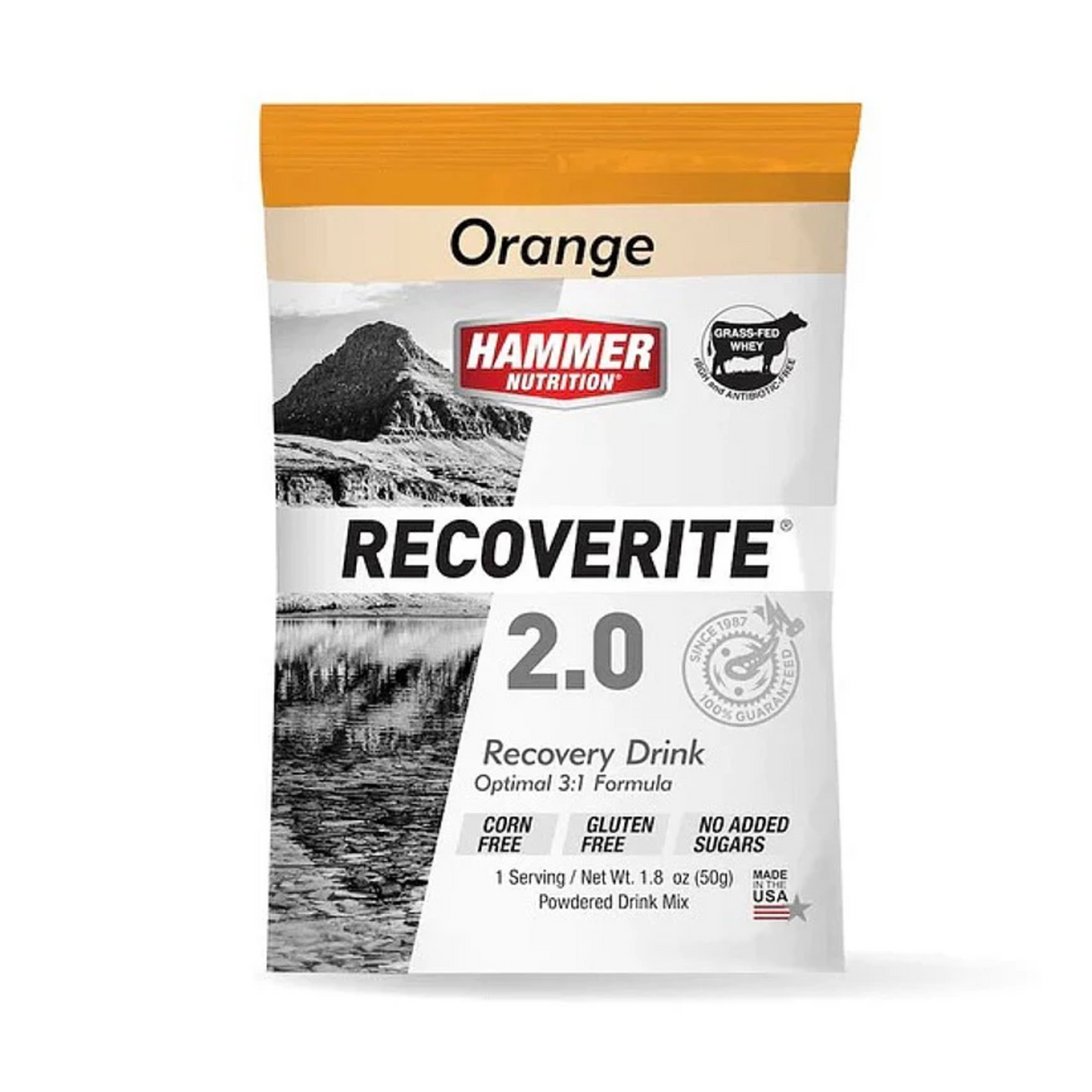 Hammer Nutrition - Hammer Nutrition Recoverite 2.0 (1 Servings) - Cam2