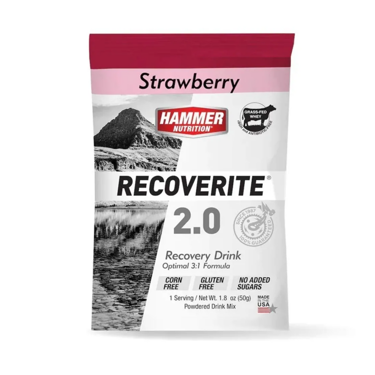 Hammer Nutrition - Hammer Nutrition Recoverite 2.0 (1 Servings) - Cam2