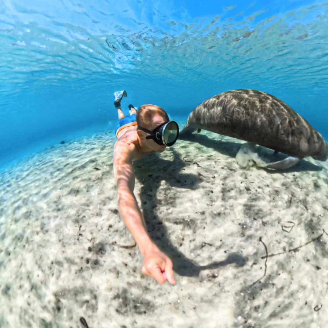 Insta360 - Insta360 X5 Invisible Dive Case - Cam2