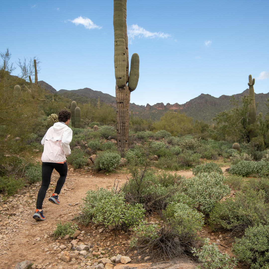 Ultimate Direction (C) - Ultimate Direction Men's Aerolight Wind Jacket - Cam2