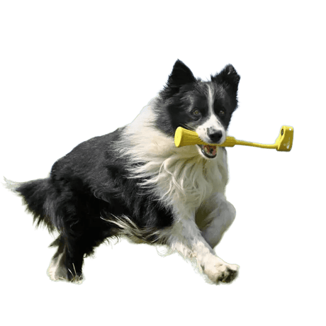 Insta360 Go3 ( Fetch Stick ) - Cam2