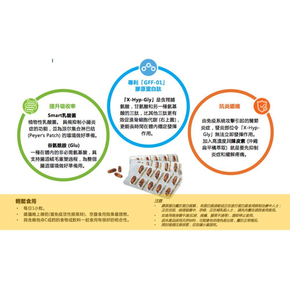 Nippi Undenatured Collagen Type II (UC-II) - Cam2