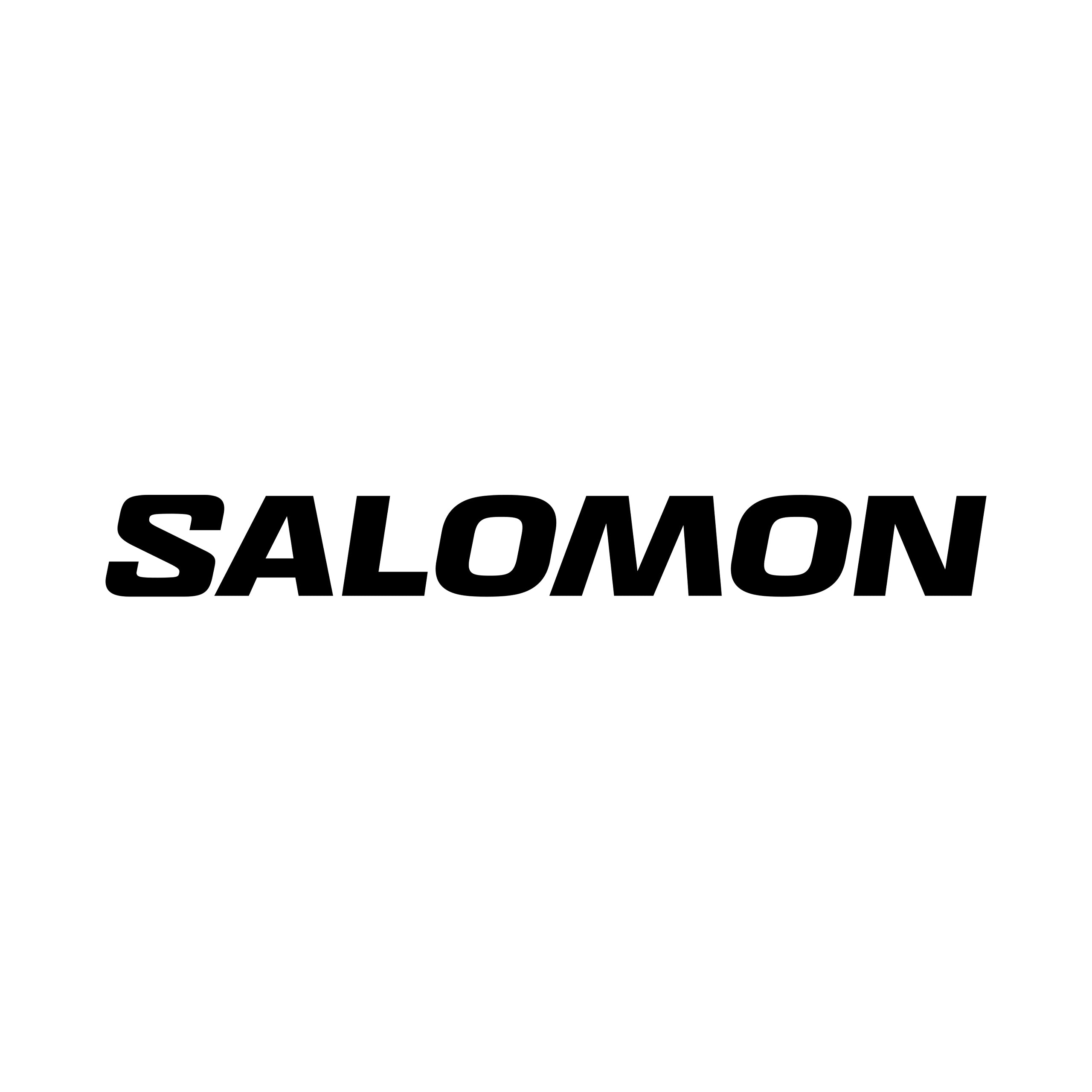 Salomon – 頁面： 4 - Cam2 越野跑用品專門店
