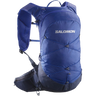 Salomon XT 15 Backpack (Surf The Web/Black Iris)