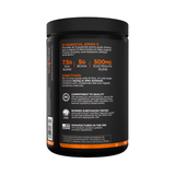 R1 - R1 Essential Amino 9 (30 Servings) - Cam2 