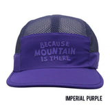 #color_imperial purple