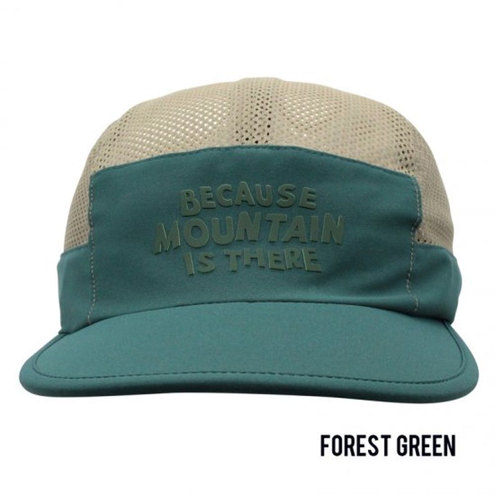 #color_forest green