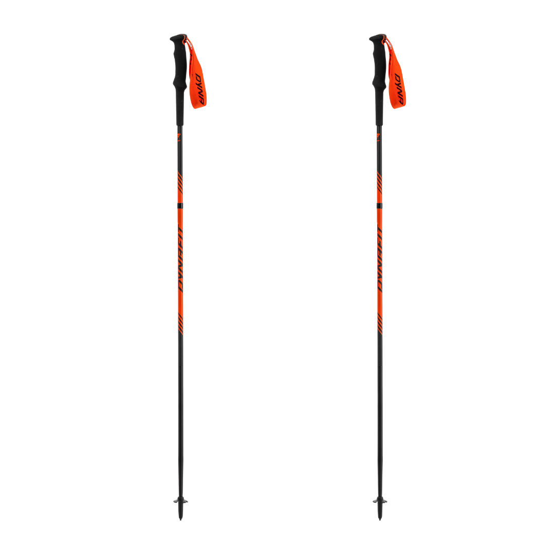 DYNAFIT (C) - DYNAFIT Alpine Trail Running Pole - Cam2 