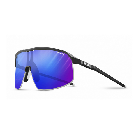 Julbo Density Sunglasses