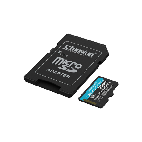 Kingston - Kingston Micro SDXC Canvas Go Plus - Cam2 