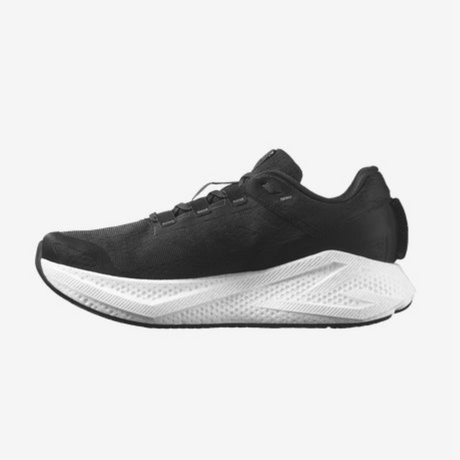 Salomon - Salomon Women's Aero Glide 3 Road Running Shoes (L47759800) - Cam2 
