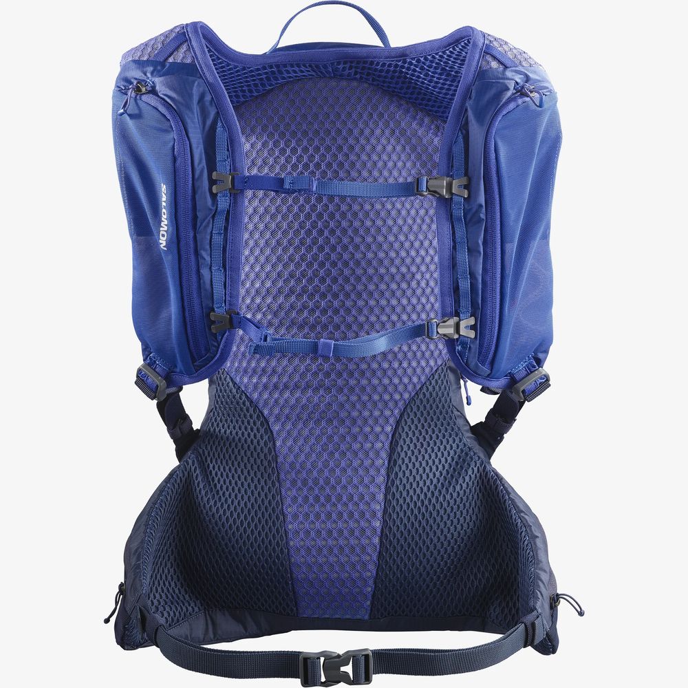 Salomon XT 15 Backpack (Surf The Web/Black Iris)
