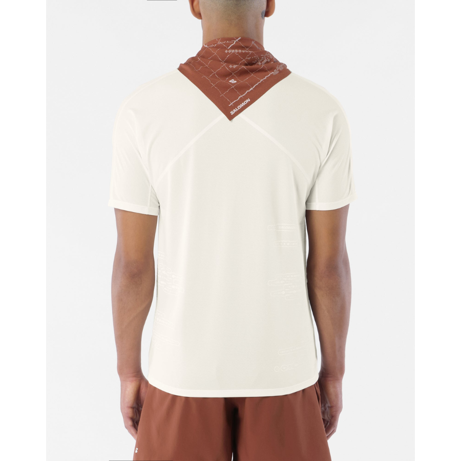 Salomon Men's Sense Aero SS Tee GFX (LC2929100)