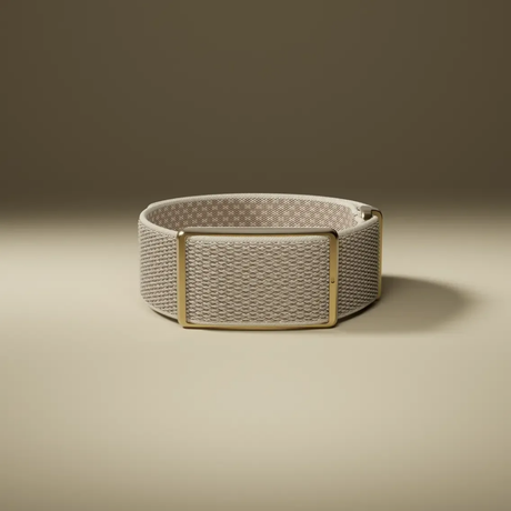 Polar - Polar Loop (Screen-Free Wearable Health Band & Fitness Tracker) - Cam2 