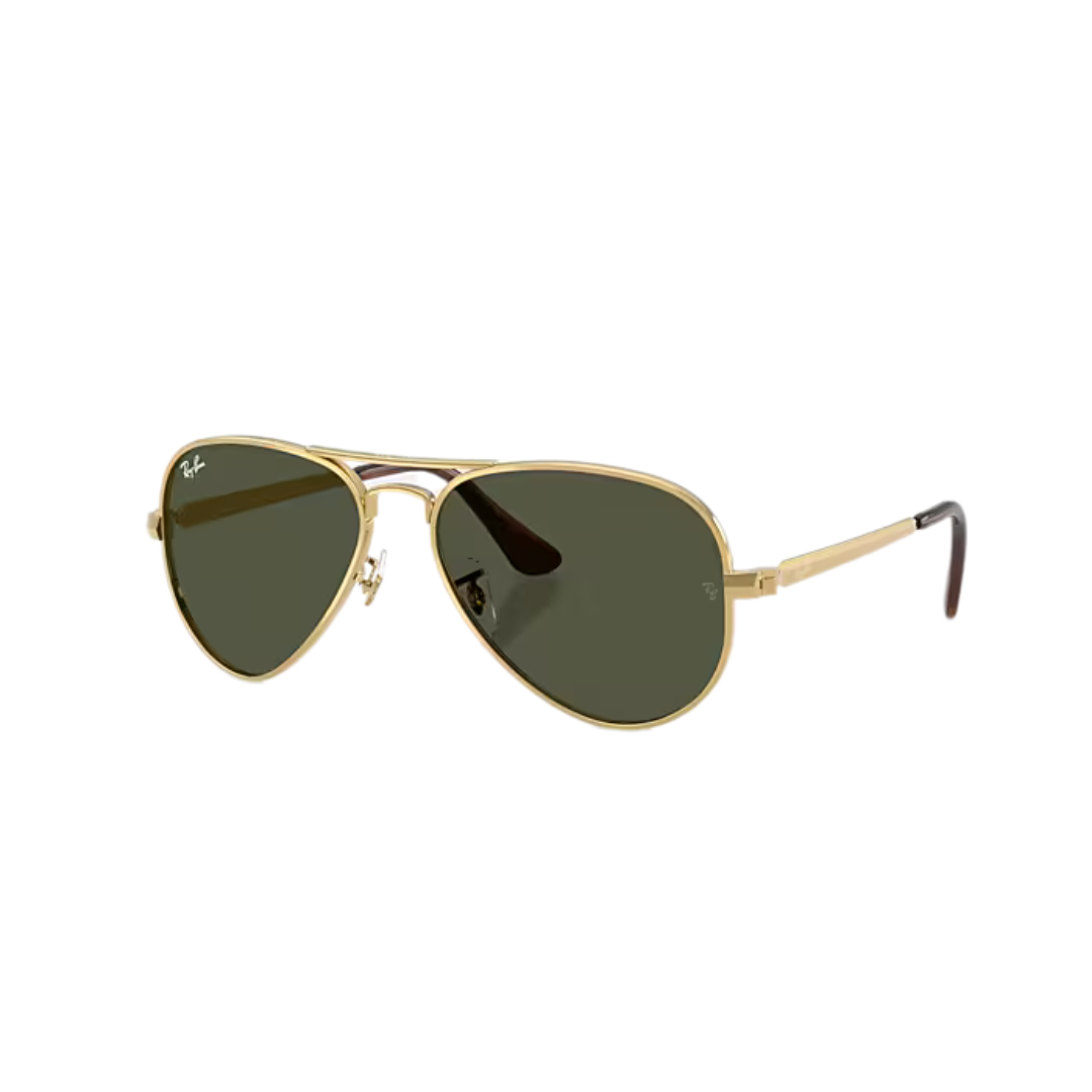Ray-Ban RB3925 Aviator Max Sunglasses (001/31)