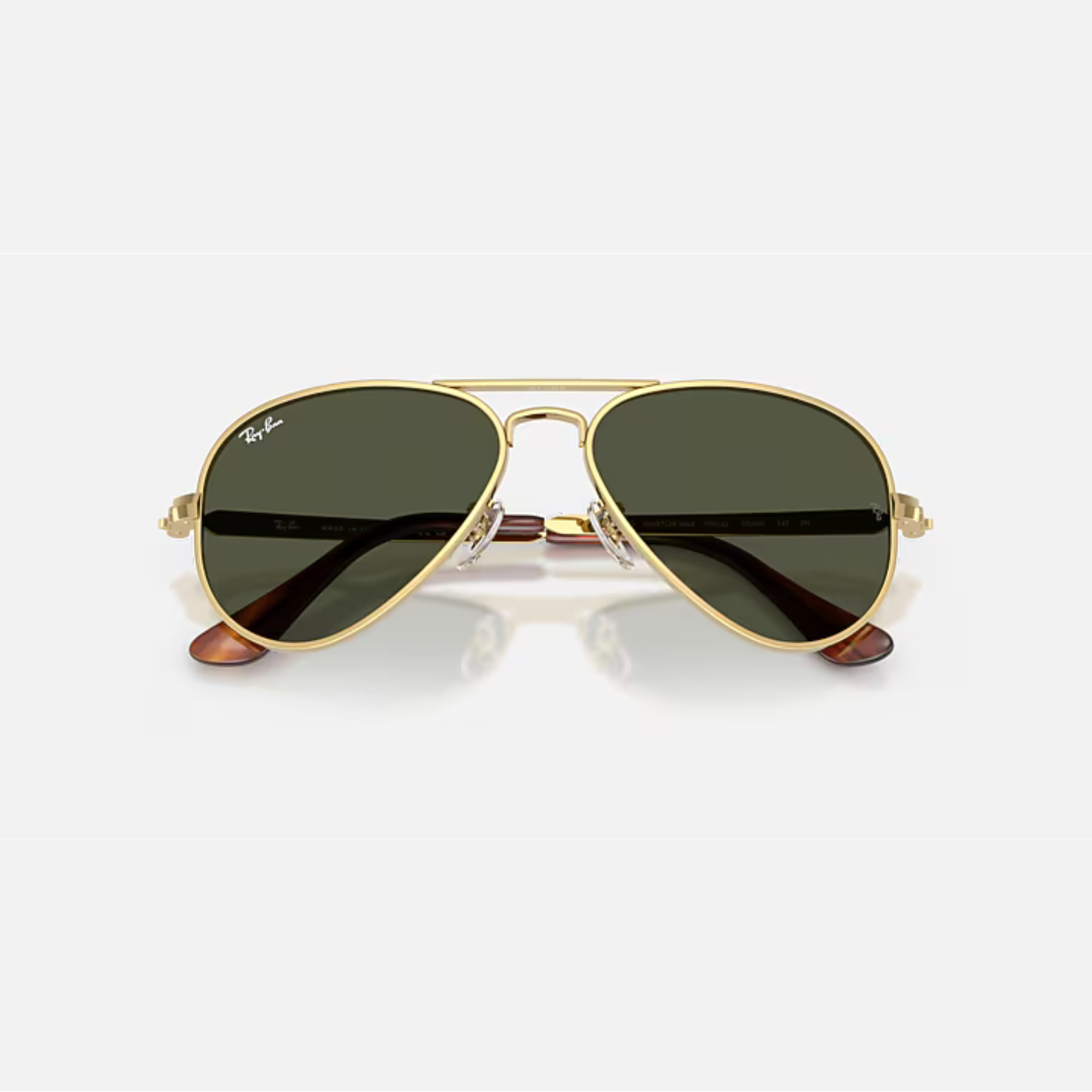 Ray-Ban RB3925 Aviator Max Sunglasses (001/31)