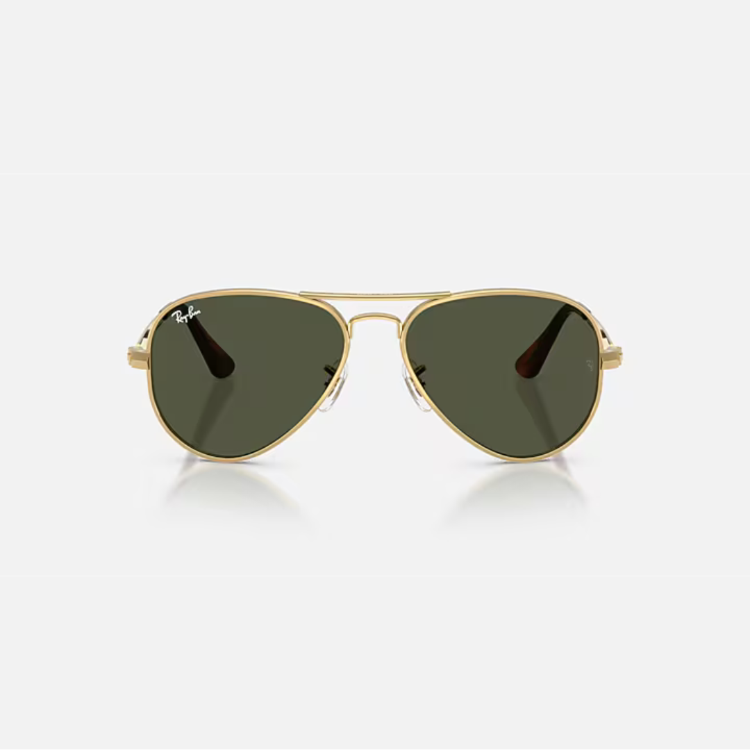 Ray-Ban RB3925 Aviator Max Sunglasses (001/31)