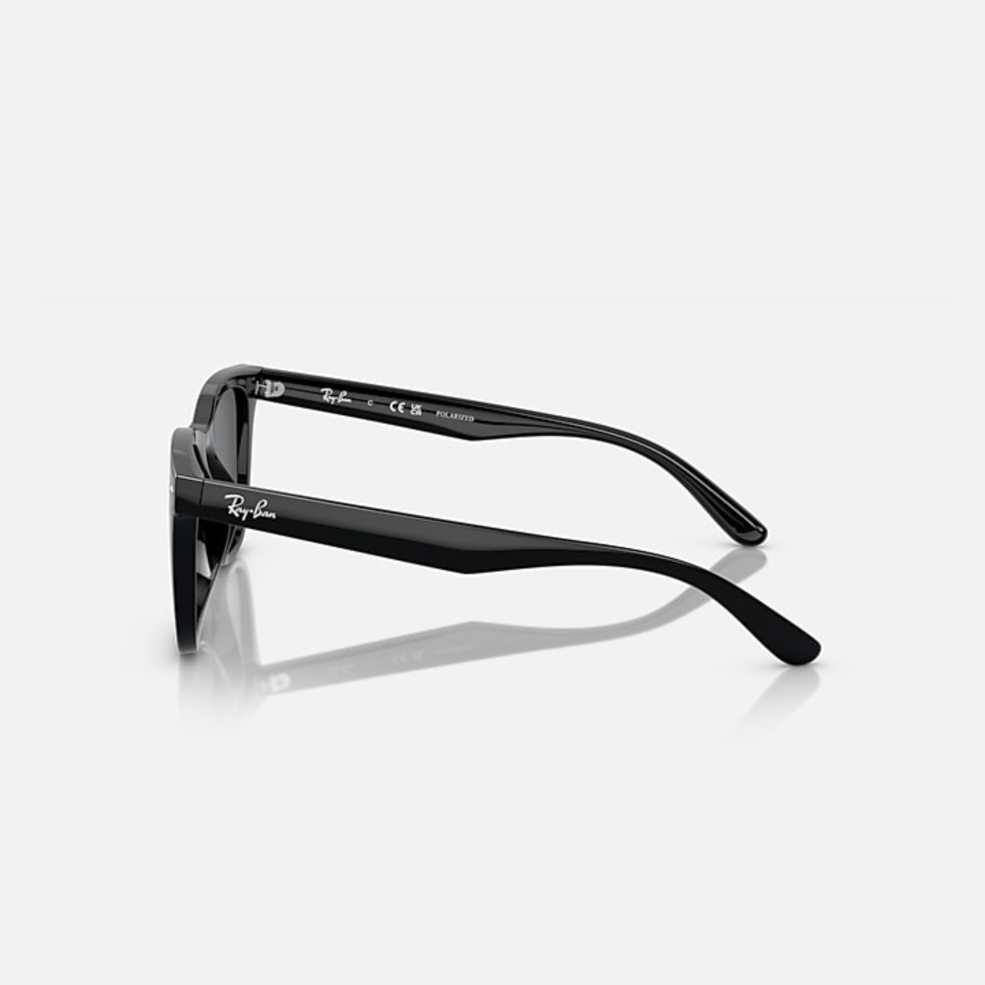 Ray-Ban RB4391D Sunglasses (601/8165)