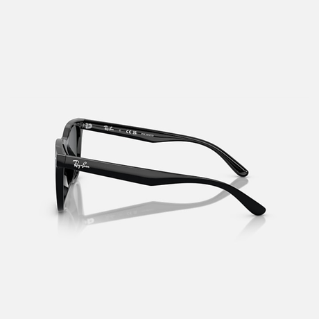 Ray-Ban - Ray-Ban RB4391D Sunglasses (601/8165) - Cam2 