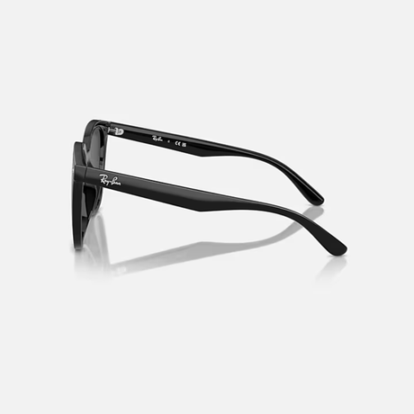 Ray-Ban - Ray-Ban RB4423D Sunglasses (601/8766) - Cam2 