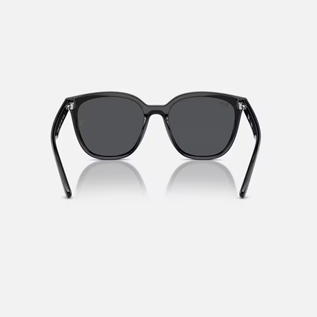 Ray-Ban - Ray-Ban RB4423D Sunglasses (601/8766) - Cam2 
