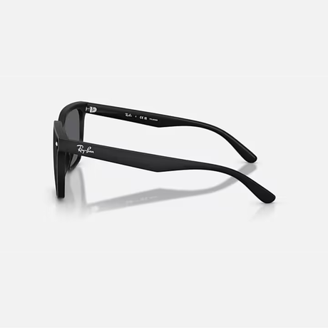 Ray-Ban - Ray-Ban RB4466D Sunglasses (601S8147) - Cam2 