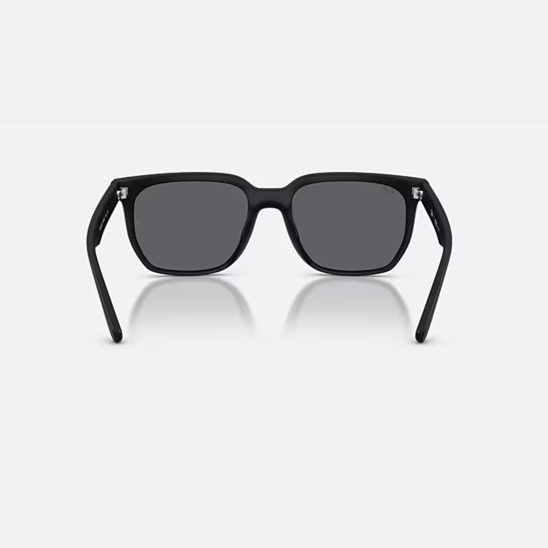Ray-Ban RB4466D Sunglasses (601S8147)
