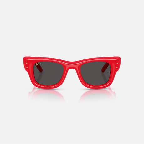 Ray-Ban - Ray-Ban RB4940 Wayfarer Puffer Sunglasses (683187) - Cam2 