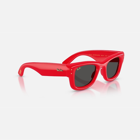 Ray-Ban - Ray-Ban RB4940 Wayfarer Puffer Sunglasses (683187) - Cam2 