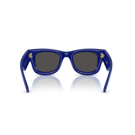 Ray-Ban - Ray-Ban RB4940 Wayfarer Puffer Sunglasses (683387) - Cam2 