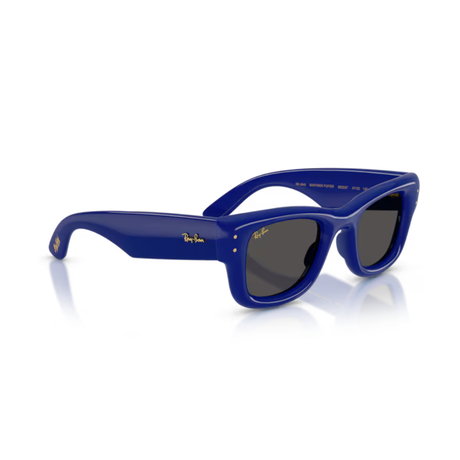 Ray-Ban - Ray-Ban RB4940 Wayfarer Puffer Sunglasses (683387) - Cam2 