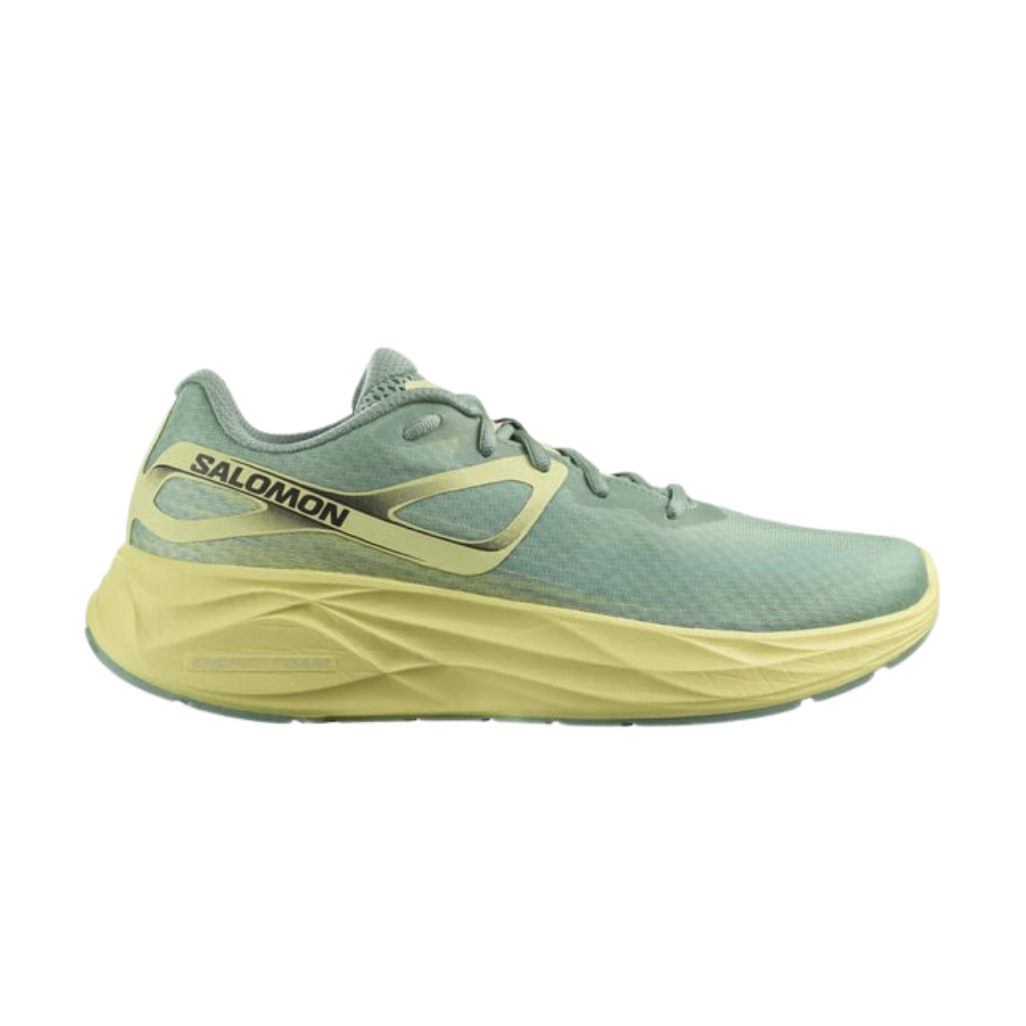 SALO-471225_3375x.png?v=1722912035