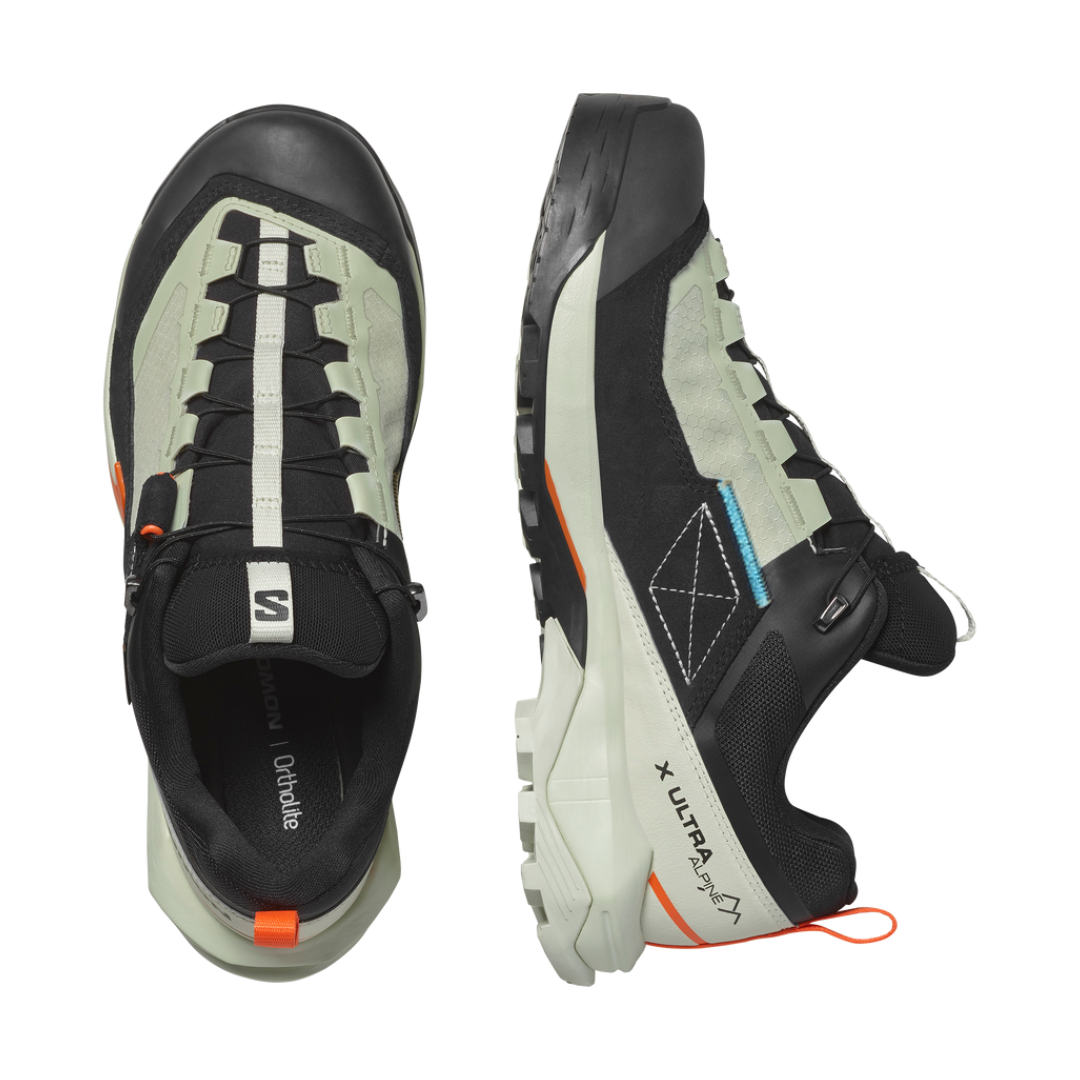 Salomon alpine x online