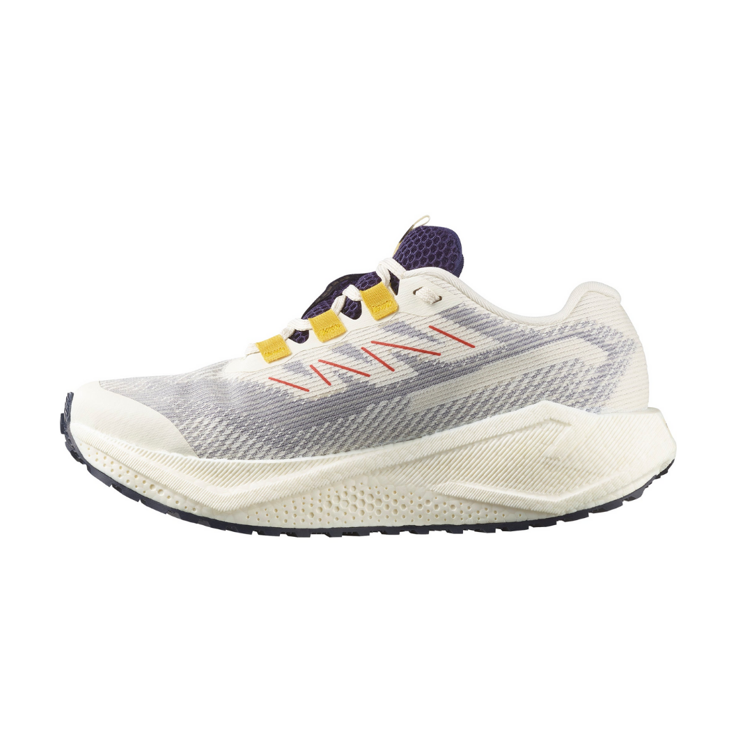 Salomon Women's Aero Blaze 3 Grvl Gore-Tex Trail Running Shoes (L47974100)