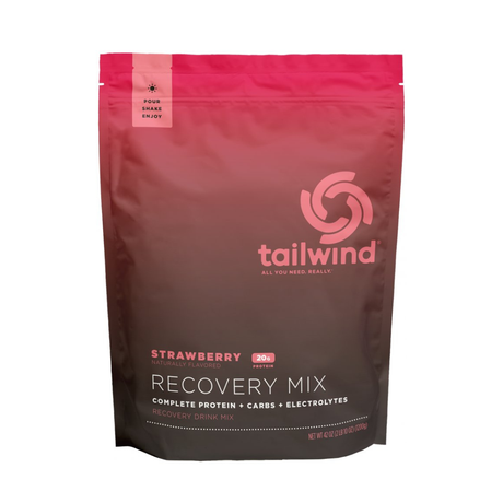 Tailwind Rebuild Recovery Mix (20 Servings Bag)