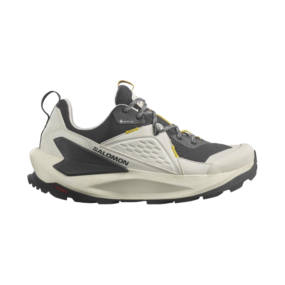 Salomon ice running shoes hotsell