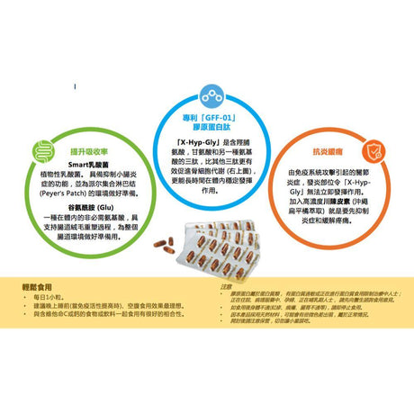 Nippi Undenatured Collagen Type II (UC-II) - Cam2