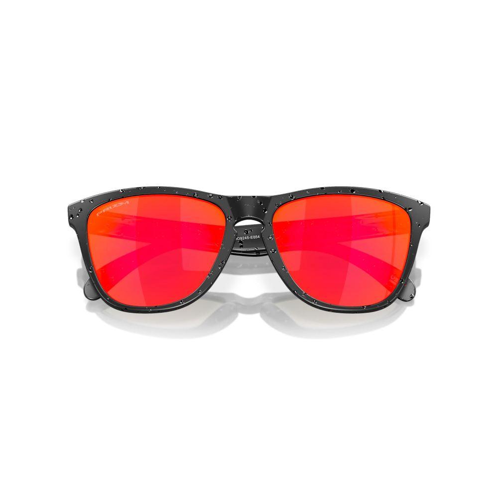 Oakley Frogskins (Low Bridge Fit) - Cam2