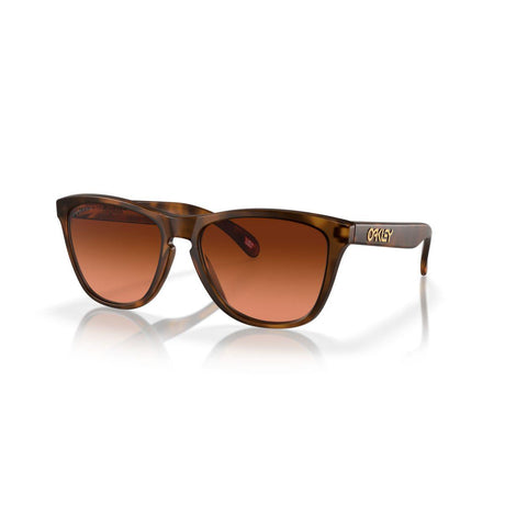 Oakley Frogskins (Low Bridge Fit) Matte Brown Tortoise/Prizm Brown Gradient 0OO9245-9245D1 - Cam2