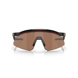 Oakley Hydra Rootbeer/Prizm Tungsten 0OO9229-922902 - Cam2